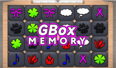 GBox Memory